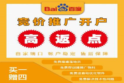 某电商平台的竞价托管SEM实践